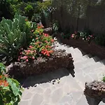 El Olivar - La Almazara Santa Lucia