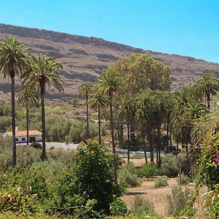 El Olivar - La Almazara *